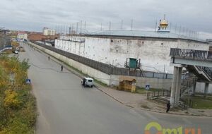 Територію колонії оточено