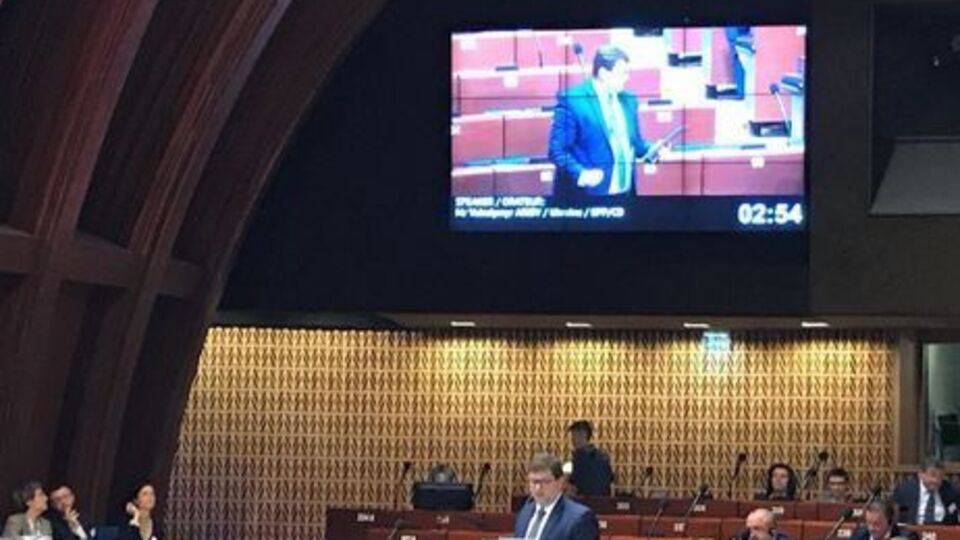 Ар'єв: Лобі Ягланда допоможе Москві знищити організацію, яка покликана захищати демократію, верховенство права і права людини