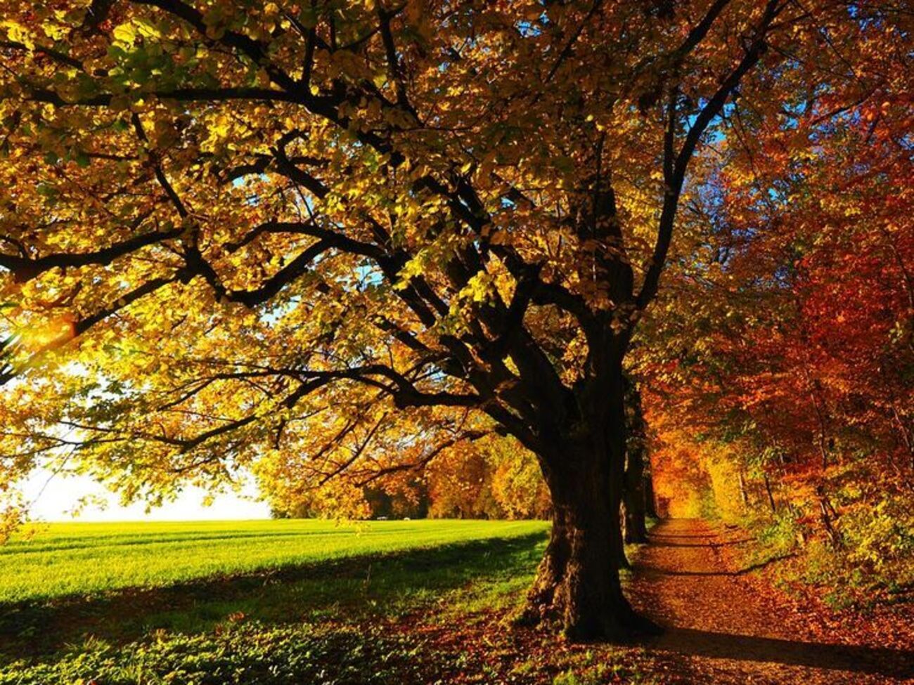 Температура повітря по всій країні буде на рівні +13...+18 &deg;C