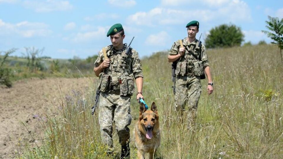 Пограничники задействовали кинологов со служебными собаками, натренированными на поиск оружия и боеприпасов
