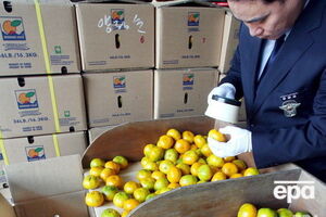 Фрукты упаковали в коробки и отправили в КНДР на четырех самолетах