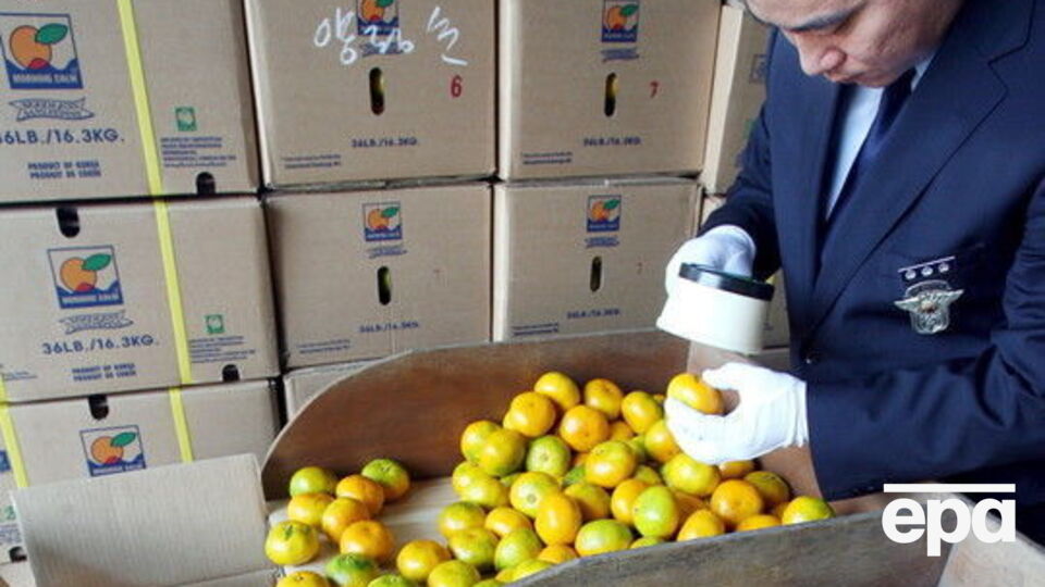 Фрукты упаковали в коробки и отправили в КНДР на четырех самолетах