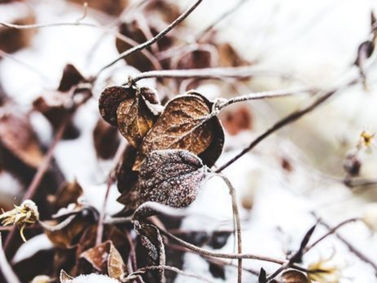 В Украине похолодает