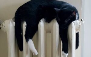 КП "Смелакомунтеплоэнерго" не может пока подавать тепло