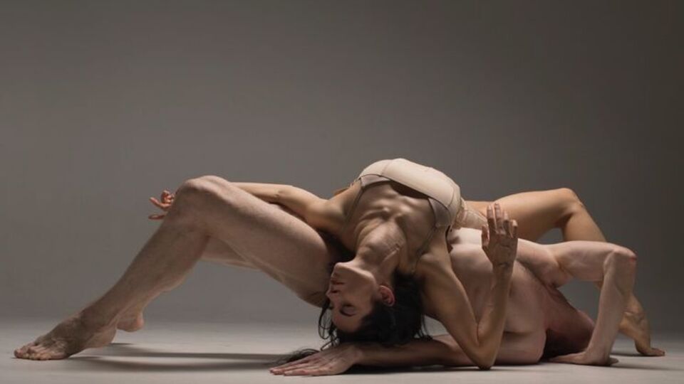 Балет відбудеться 20 листопада