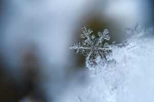 Ночью в Украине будет 0…-5 ºC, сказала синоптик