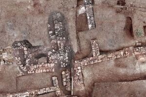 Тенею обнаружили возле деревни Хилиомоди на полуострове Пелопоннес