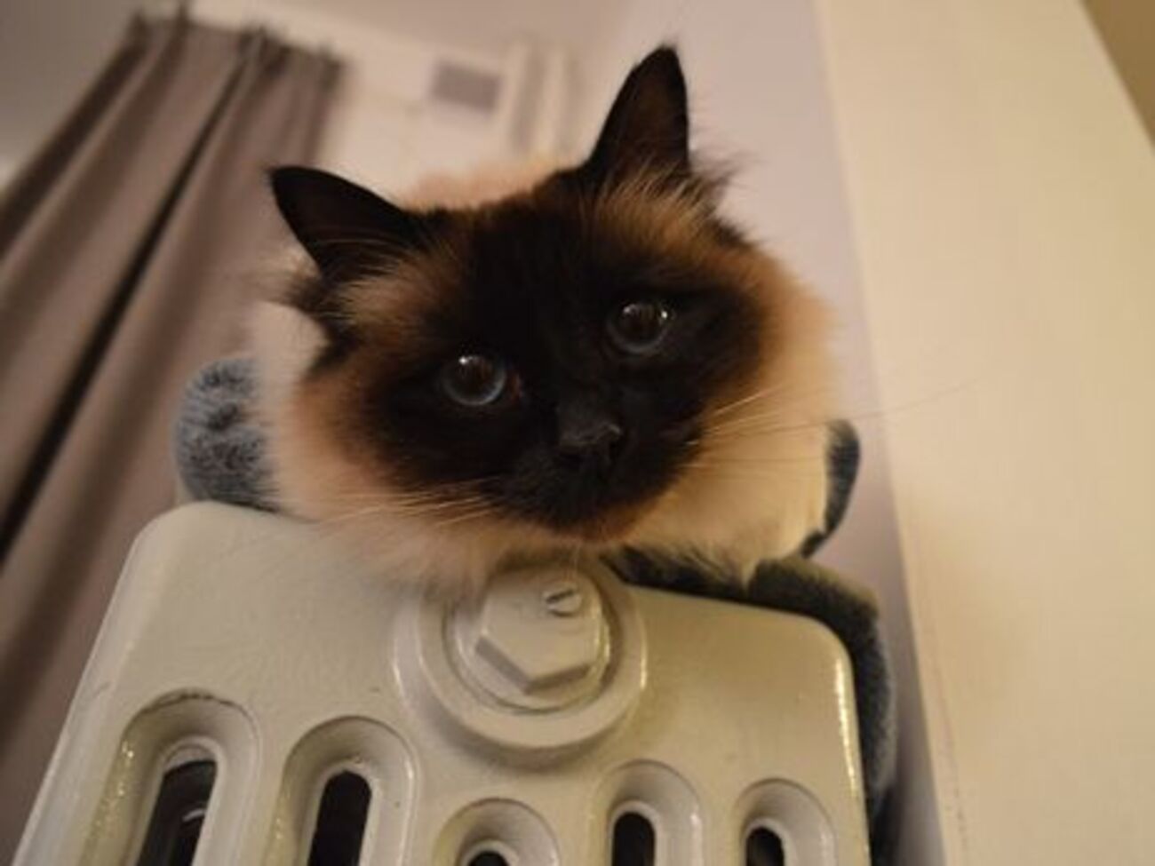 Планували, що з 20.00 тепло почнуть подавати в житловий сектор