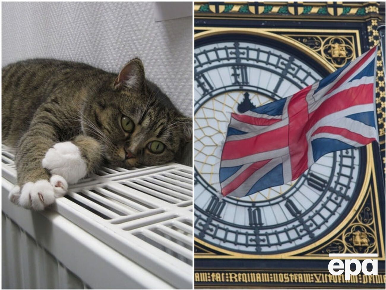 Главные новости среды