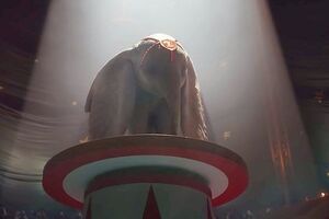 Премьера назначена на март 2019 года