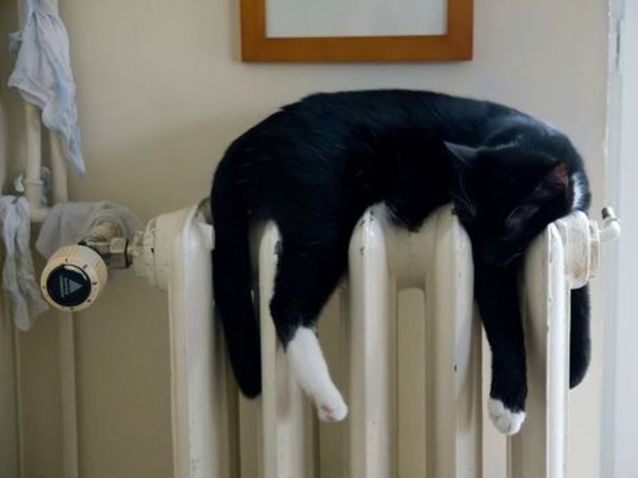 Зубко підкреслив, що для того, щоб тепло надійшло в будинки, потрібен час