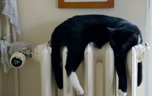 Отопление в Смеле включили 15 ноября