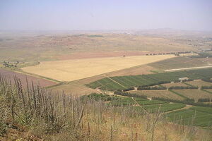 Голанские высоты – территория между Сирией и Израилем