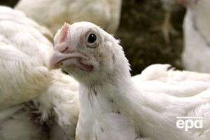 Партію американської продукції вагою 185 т повернули на територію Євросоюзу