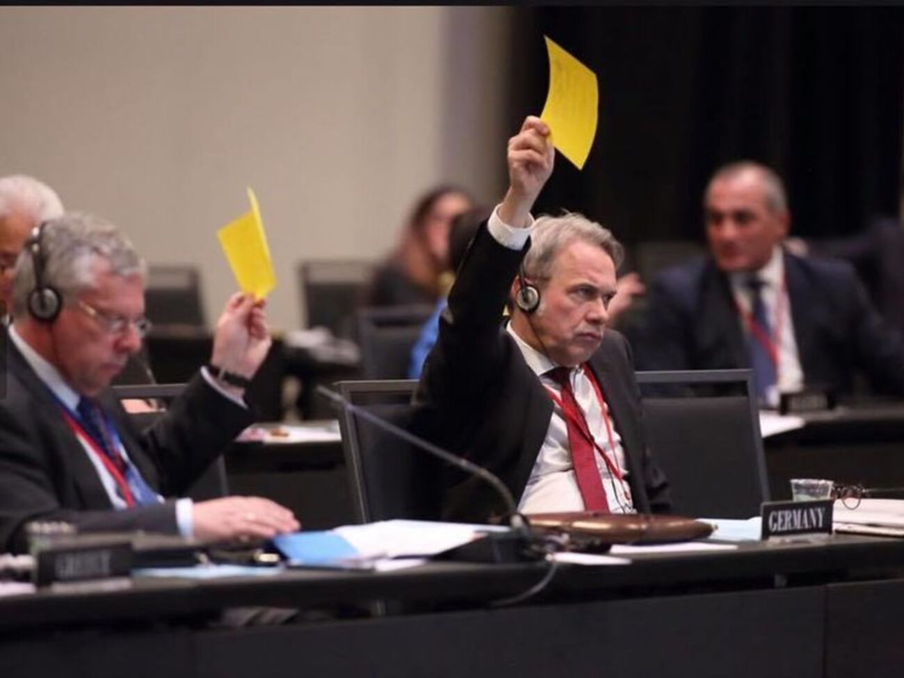 По данным Ирины Фриз, комитет НАТО единогласно осудил незаконное строительство Крымского моста Россией