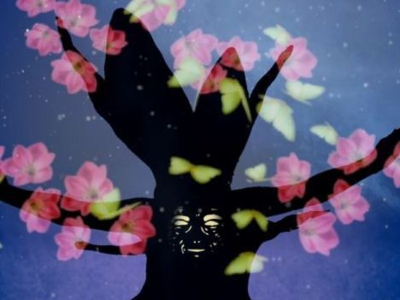 Театр теней&nbsp;Verba:&nbsp;Наша большая мечта&nbsp;&ndash; стать частью Britain&rsquo;s Got Talent & America&rsquo;s Got Talent