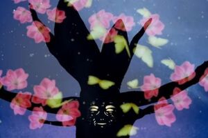 Театр теней Verba: Наша большая мечта – стать частью Britain’s Got Talent & America’s Got Talent