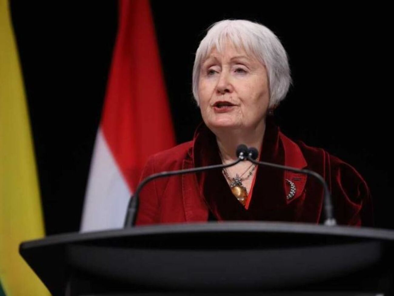 Мун работает в ПА НАТО с 2009 года