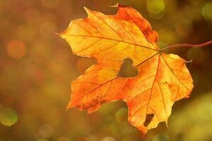 Синоптик: На українців чекає комфортна температура повітря