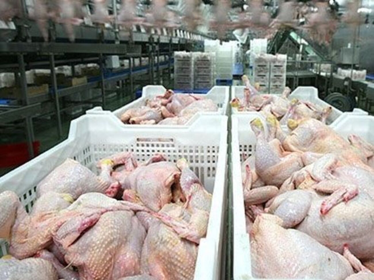 Запрет на транзит мяса Россельхознадзор ввел с 20 ноября