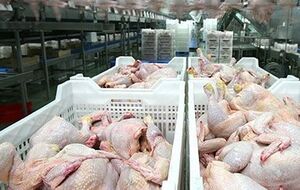 Запрет на транзит мяса Россельхознадзор ввел с 20 ноября