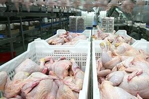 Заборону на транзит м'яса Россільгоспнагляд ввів із 20 листопада