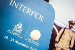 Нового президента Інтерполу оберуть 21 листопада