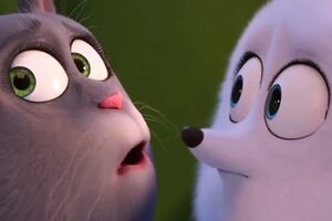 Новый трейлер посвящен кошке Хлое