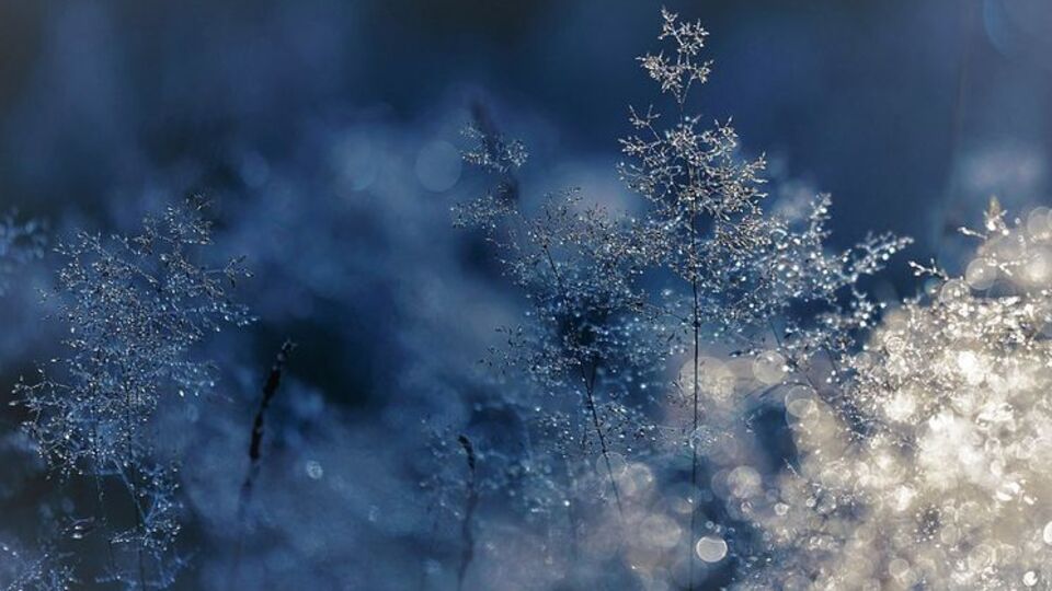 У нічний час температура в Україні сягне -8 ºC