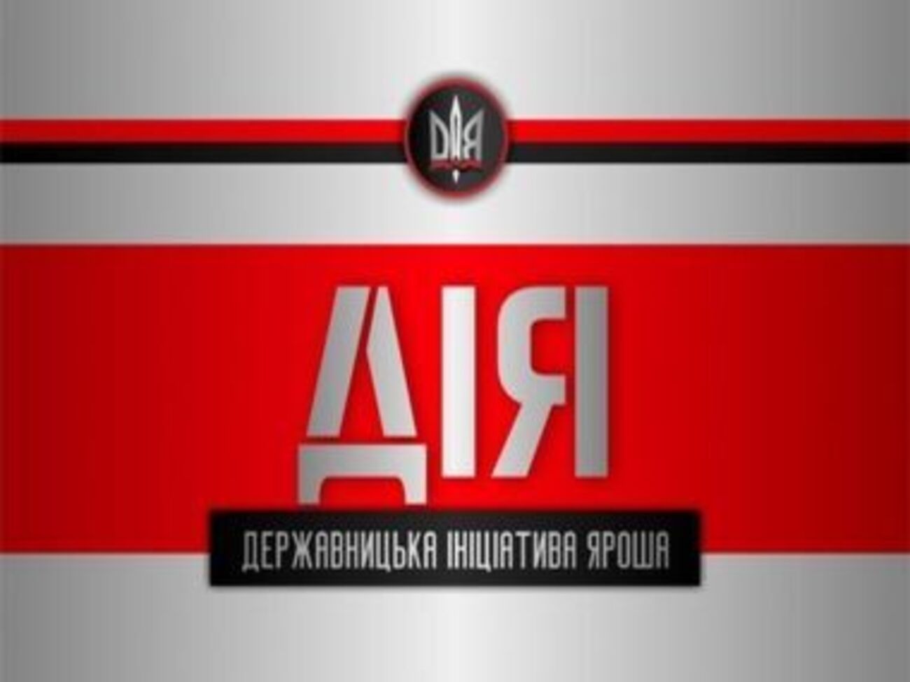 Новая политическая платформа открыта для всех государственнических сил, подчеркнули в организации