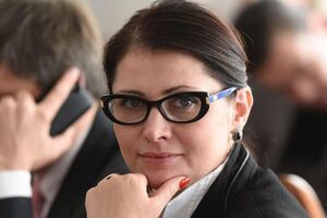 Фриз: Теперь Верховная Рада должна выявить наличие политической воли
