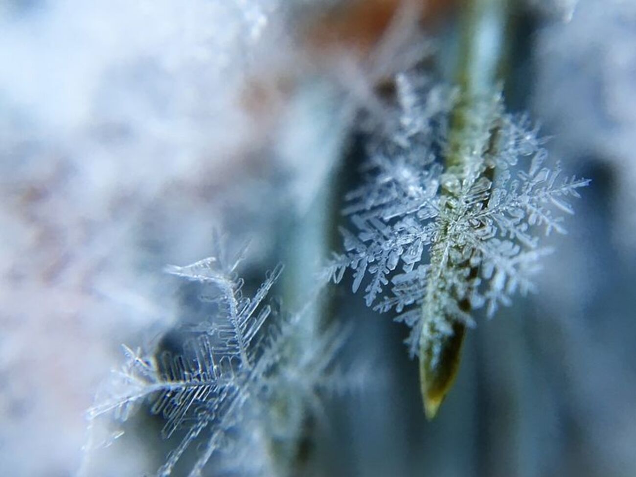 23 ноября в Украине днем будет&nbsp;0&hellip;-2&nbsp;&ordm;C