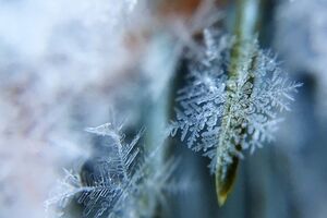 23 ноября в Украине днем будет 0…-2 ºC