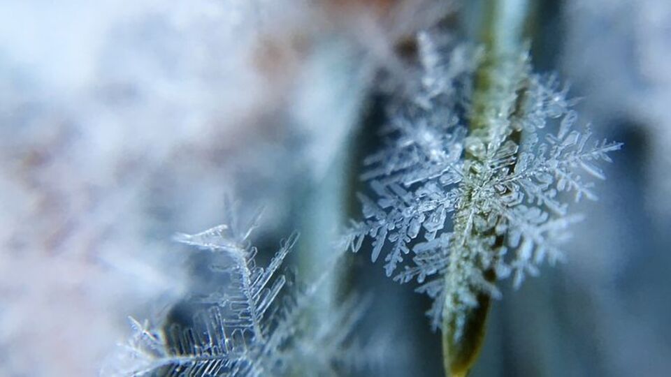 23 листопада в Україні вдень буде 0...-2 ºC