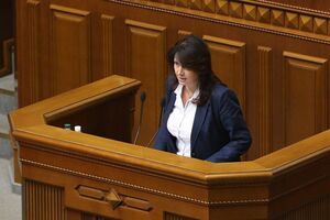 Фріз призначили главою ще не створеного відомства