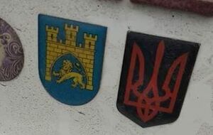 Польські правоохоронці попросили українця зняти знак, щоб "не пошкодили авто на паркінгу тощо"