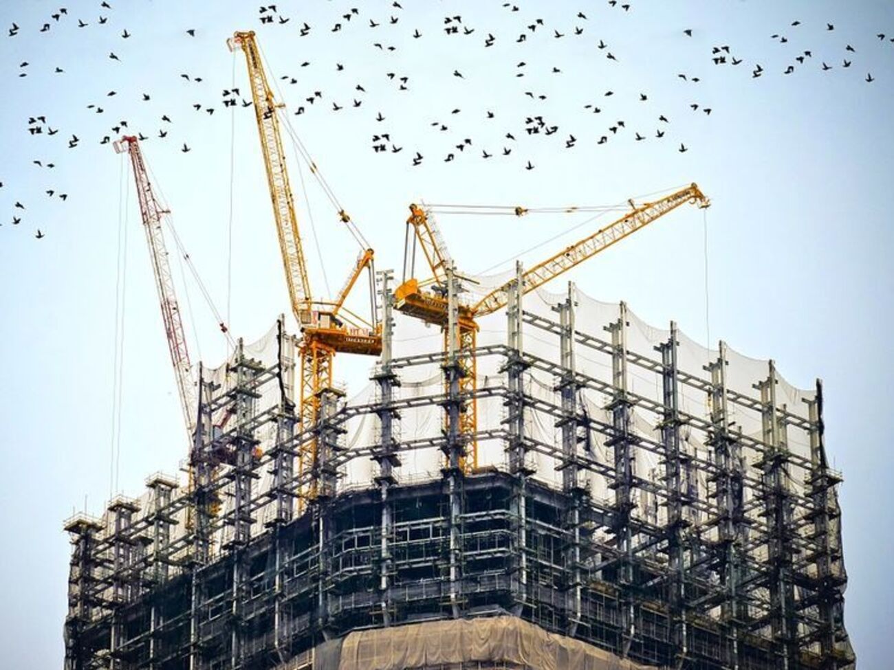 Будівельні компанії виступили на підтримку Кудрявцева