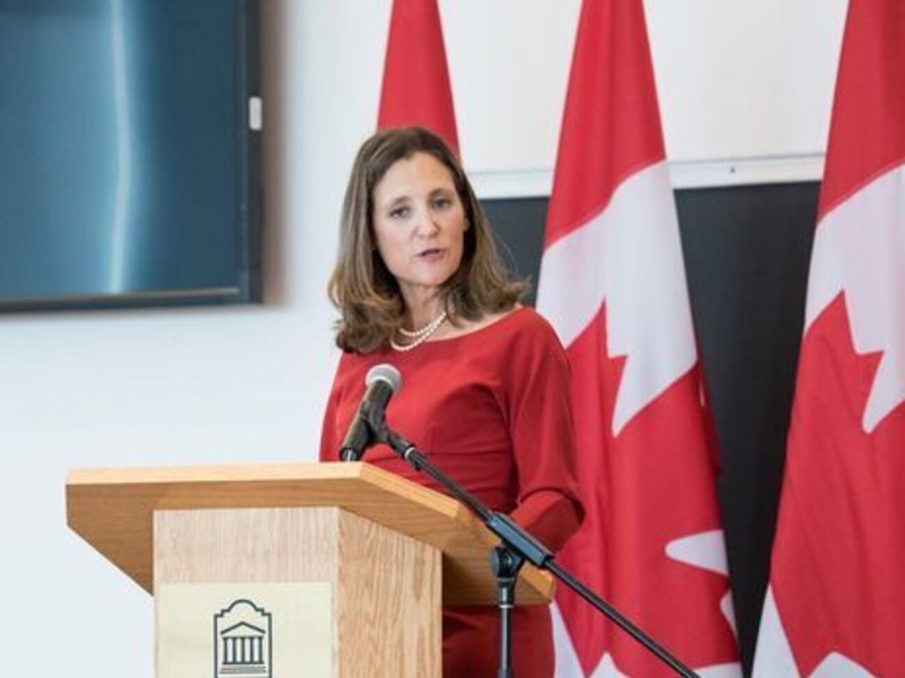 Фріланд: Канада непохитна у підтримці суверенітету України