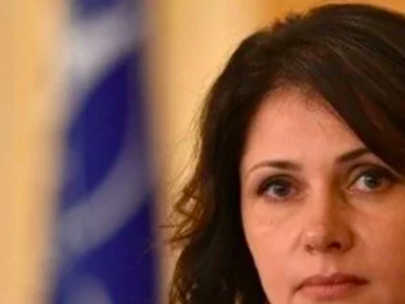 Ирина Фриз: Были нанесены убытки, потому что после огласки этого обвинения Минобороны не хотело даже заключать следующие контракты