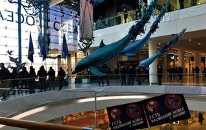28 ноября Ocean Plaza закрылся на три часа раньше