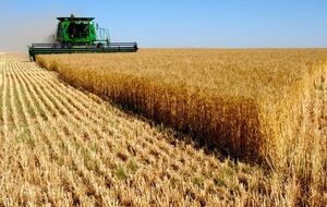 Гроші на підтримку аграріїв у буквальному сенсі "лежать і чекають", пише автор