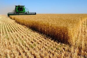 Гроші на підтримку аграріїв у буквальному сенсі "лежать і чекають", пише автор