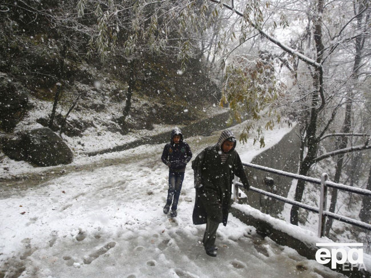 Снегопад нанес урон яблоневым садам в южном Кашмире
