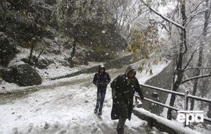 Снігопад завдав шкоди яблуневим садам у південному Кашмірі