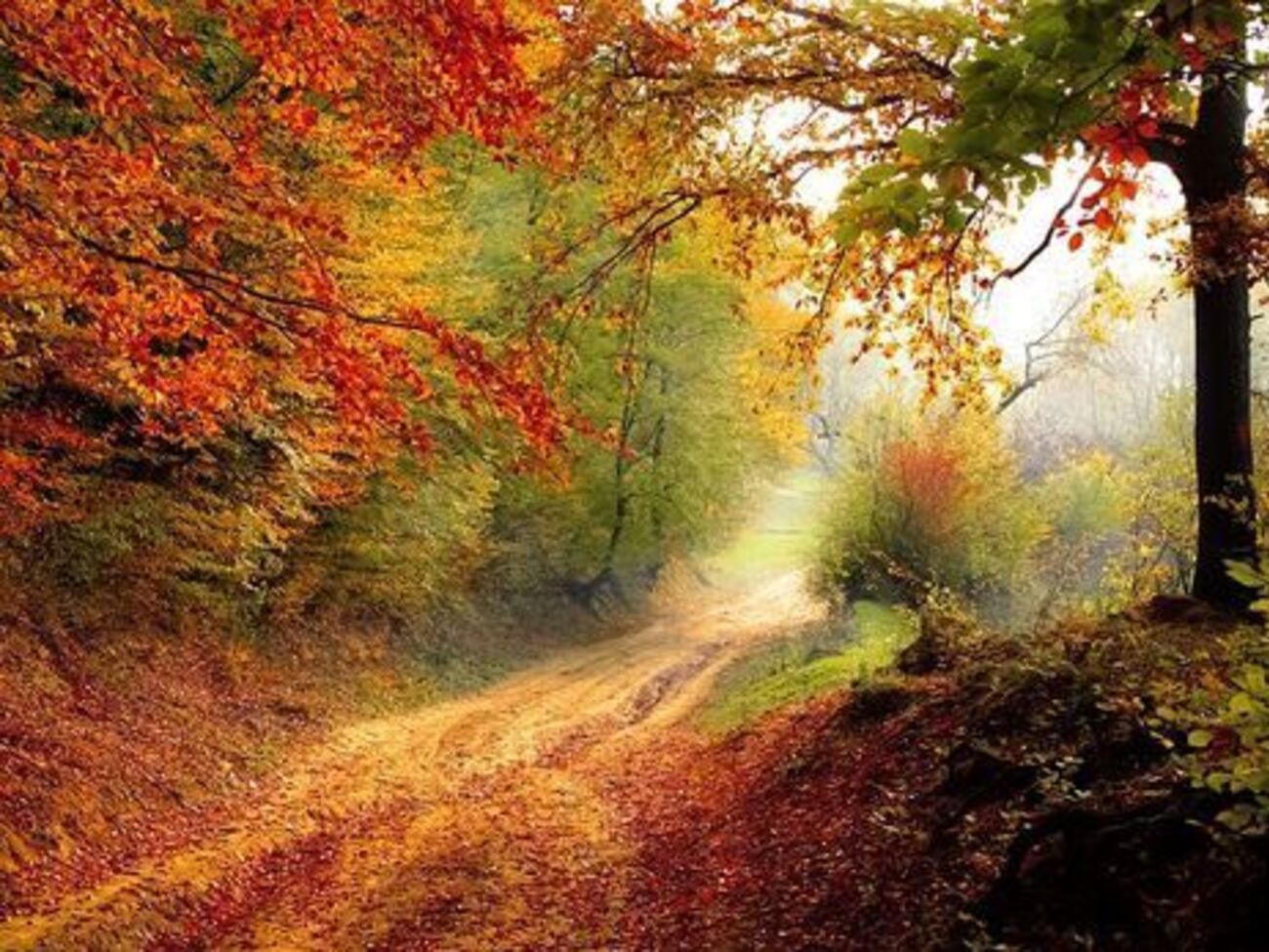 В Киеве днем ожидается +9&hellip;+13 &deg;C