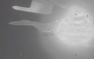 Американский самолет сопровождали 25 минут