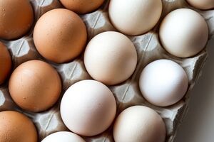Скорлупа яиц может отличаться по цвету