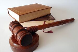 Женщина признала свою вину