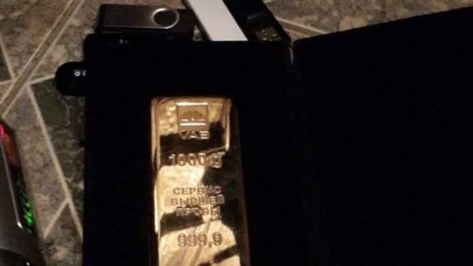 Правоохоронці виявили в Бережної злиток золота