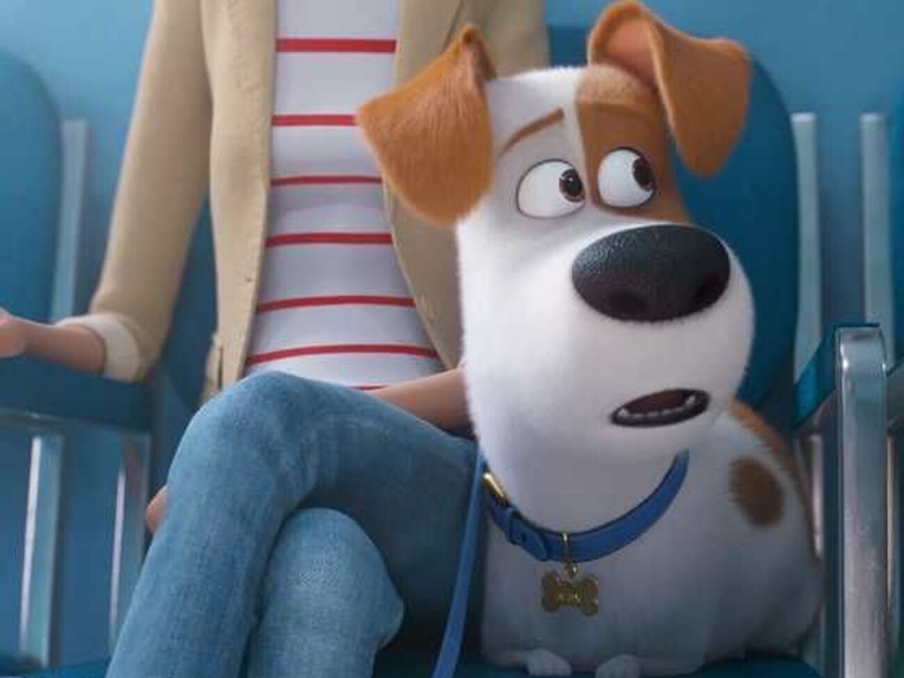 Пес Макс опиниться на прийомі у ветеринара